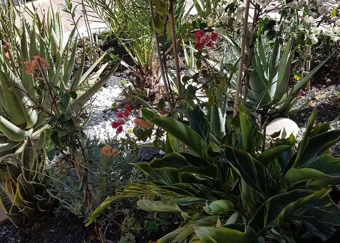 Lejlighed Mit Gemeinschaftlichem Pool By Interhome Costa Calma